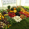 lakdoycq elzrbtdq 2013 r1h.JPG